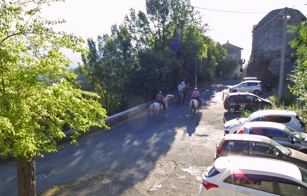 Olivola  Forni Rosaia 빌라 외부 사진
